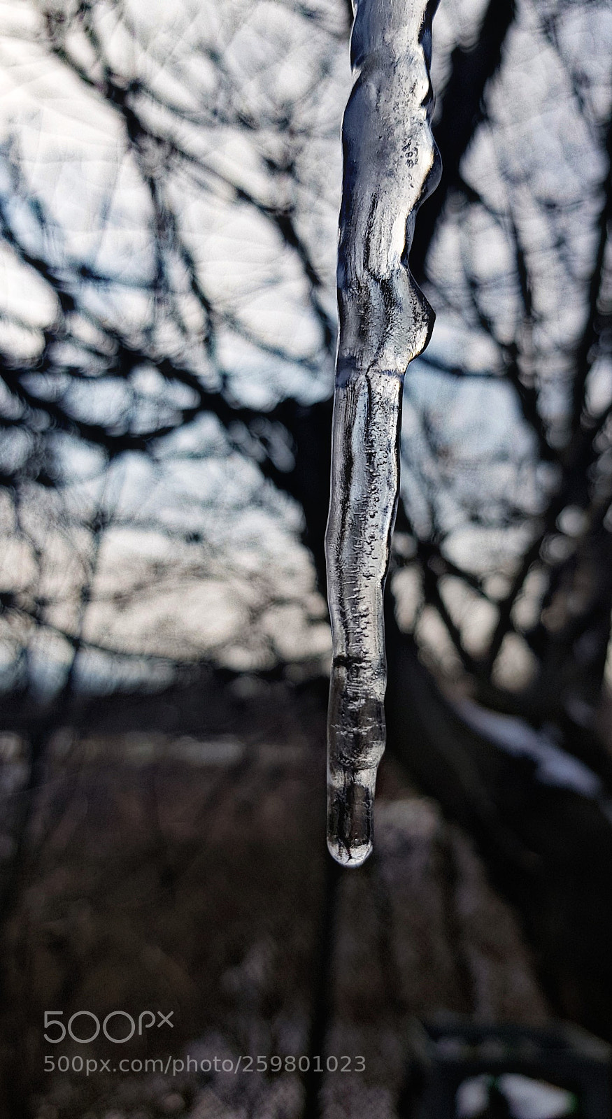 Samsung Galaxy S8 sample photo. Untitled photography