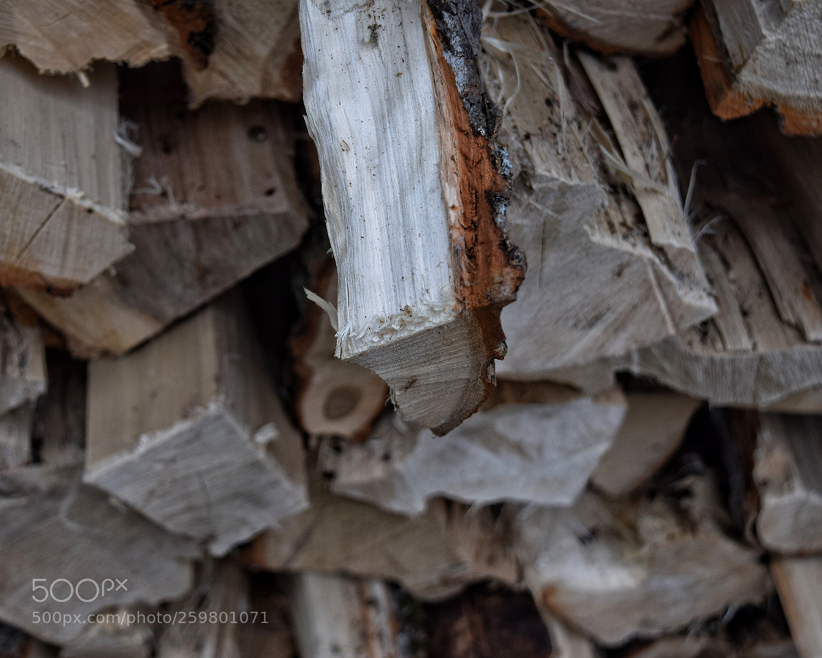 Nikon D5300 sample photo. Untitled photography