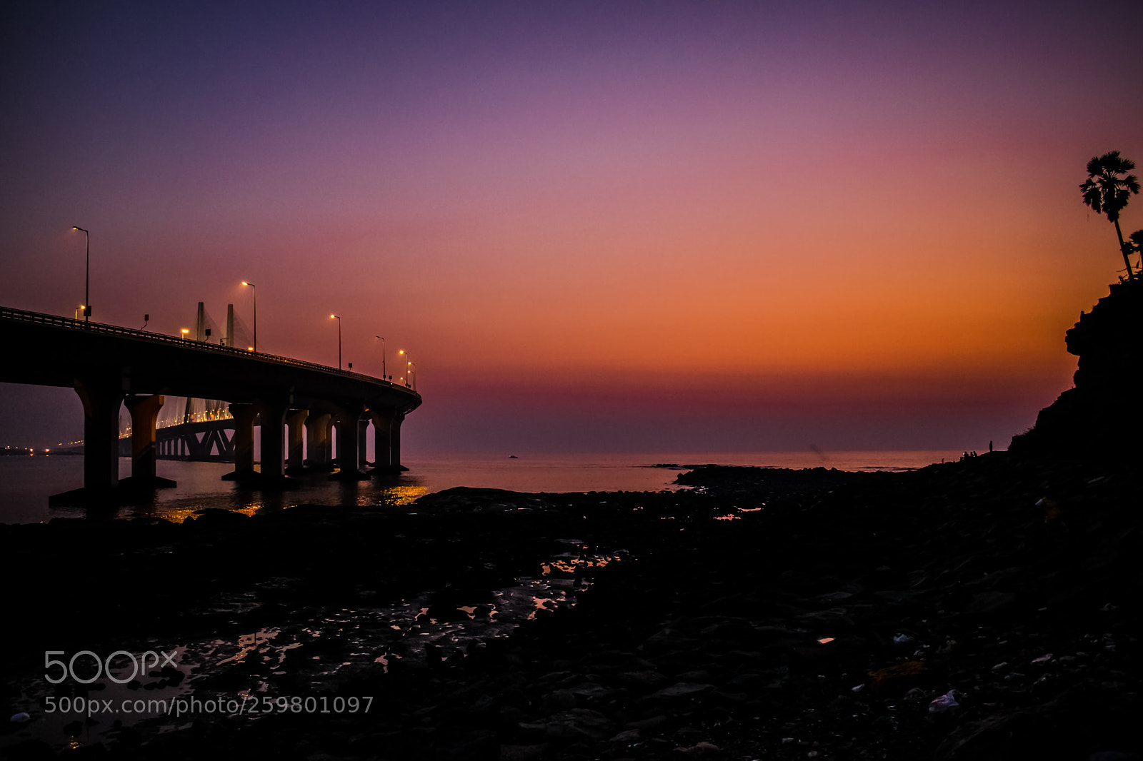 Nikon D3300 sample photo. Majestic sunset by bandra photography
