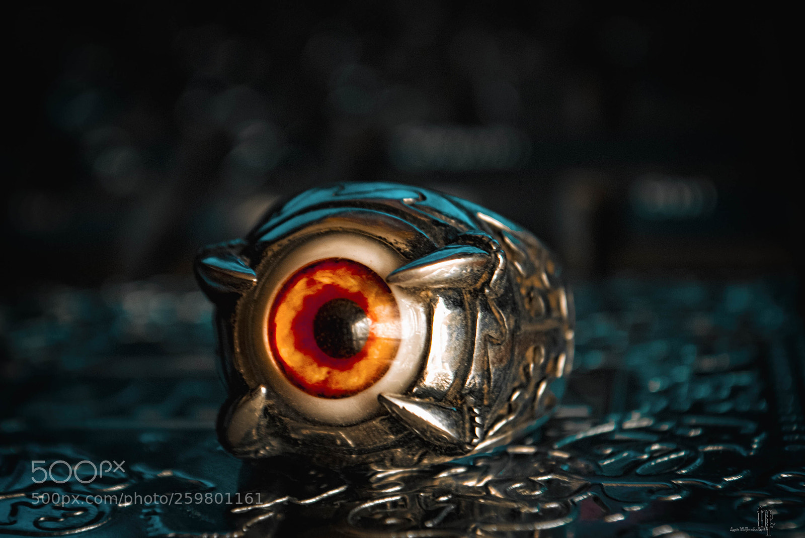 Nikon D80 sample photo. Finger ring photography