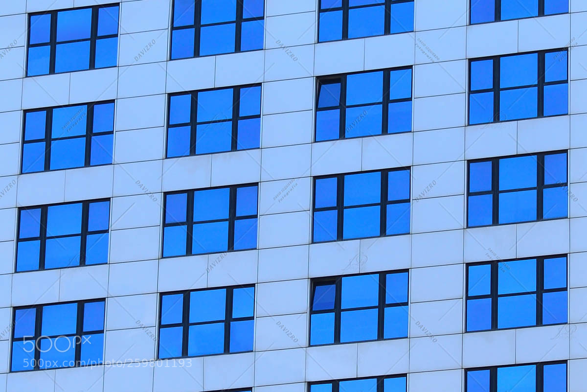 Nikon D810 sample photo. Detail of facade of photography