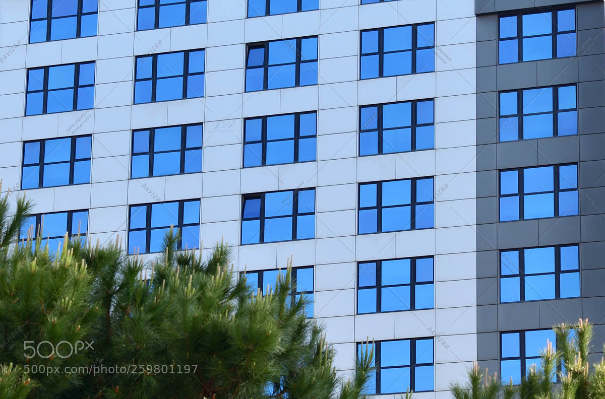 Nikon D810 sample photo. Facade of a building photography
