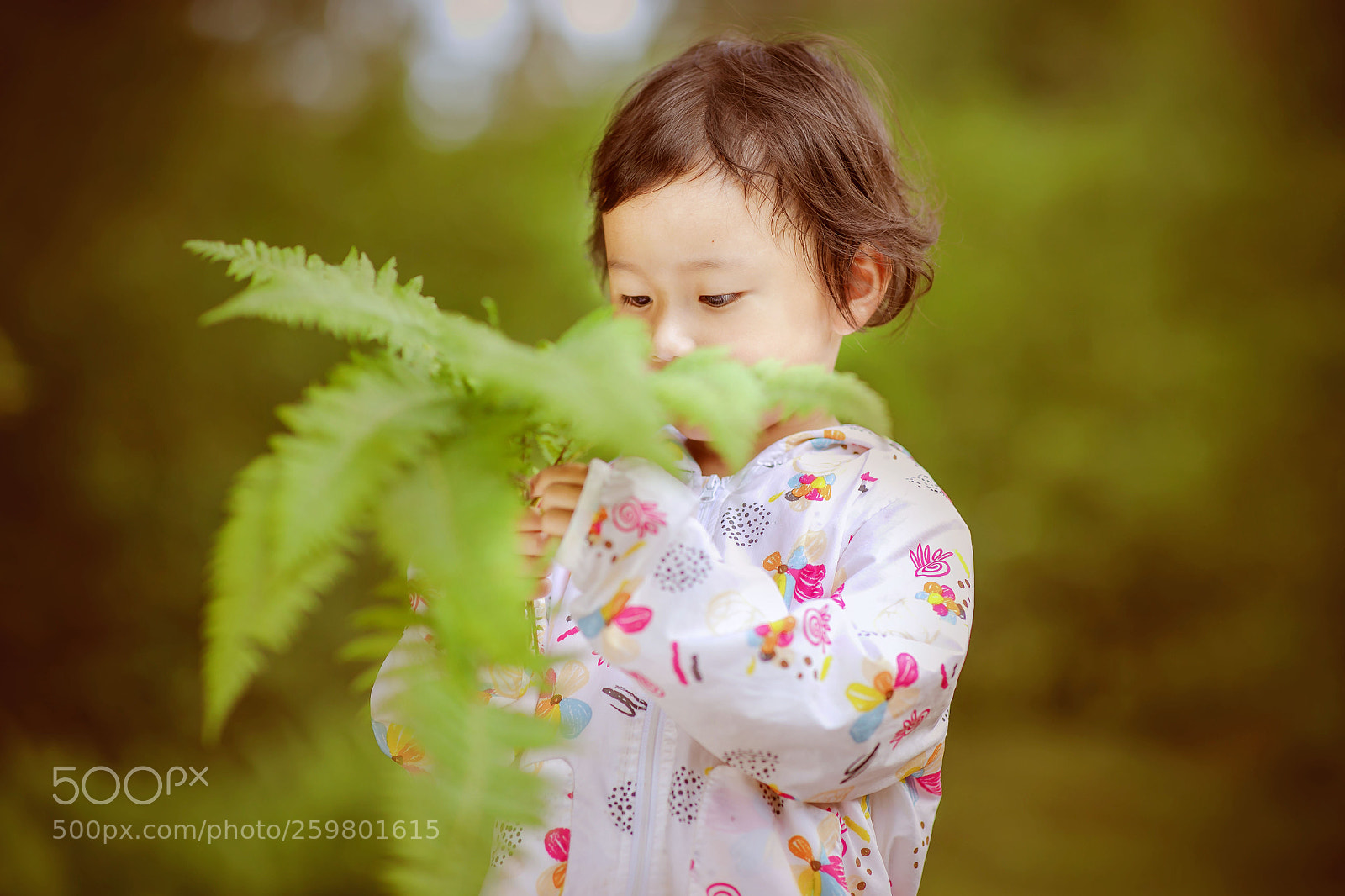 Canon EOS 5D Mark IV sample photo. Untitled photography