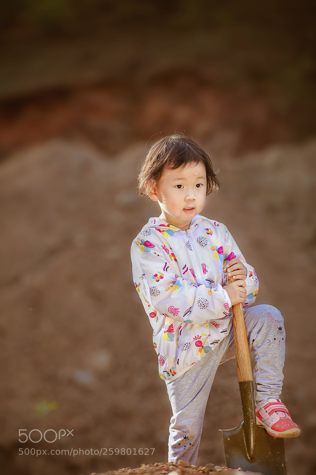 Canon EOS 5D Mark IV sample photo. Untitled photography
