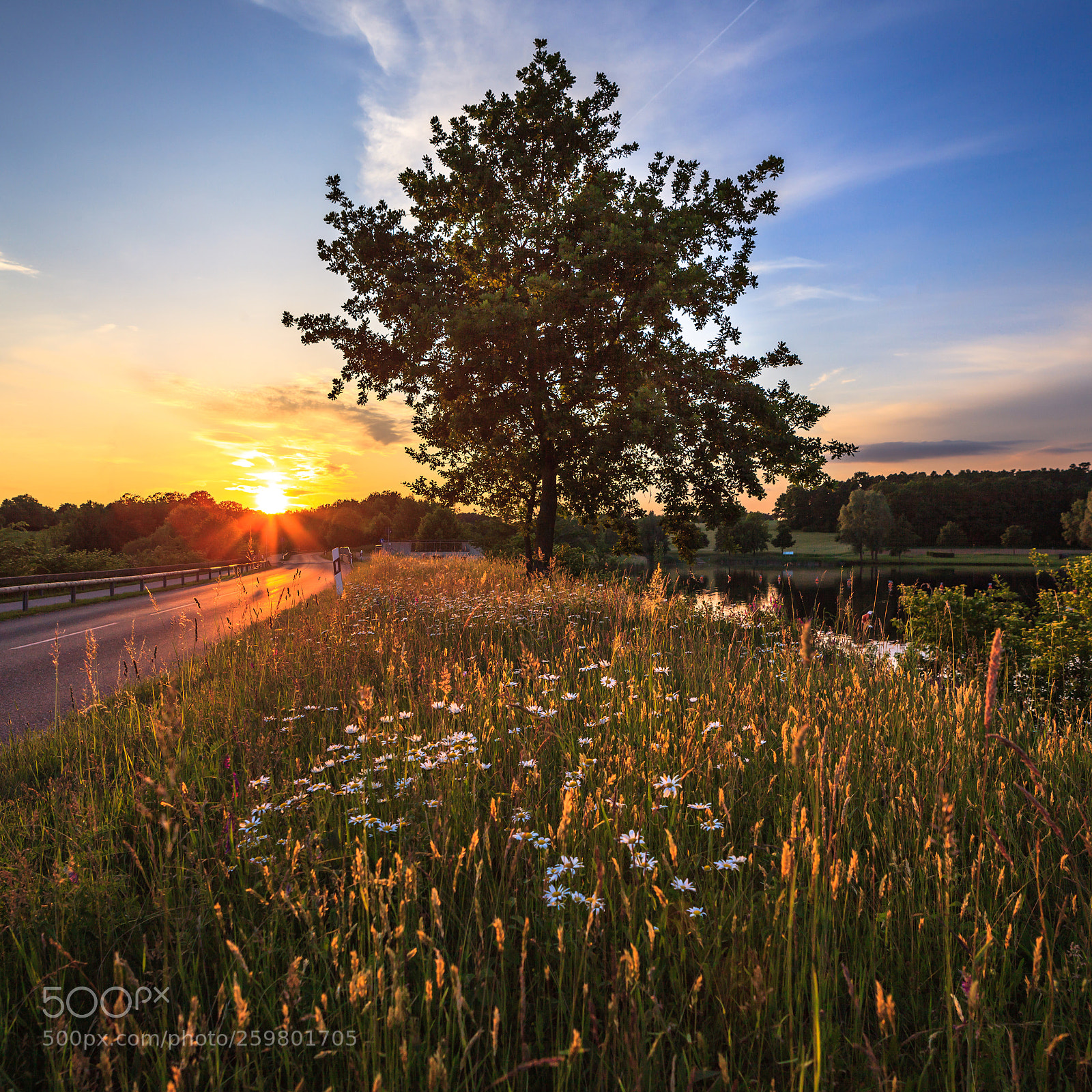 Canon EOS 5D Mark II sample photo. Sunset on the roth photography