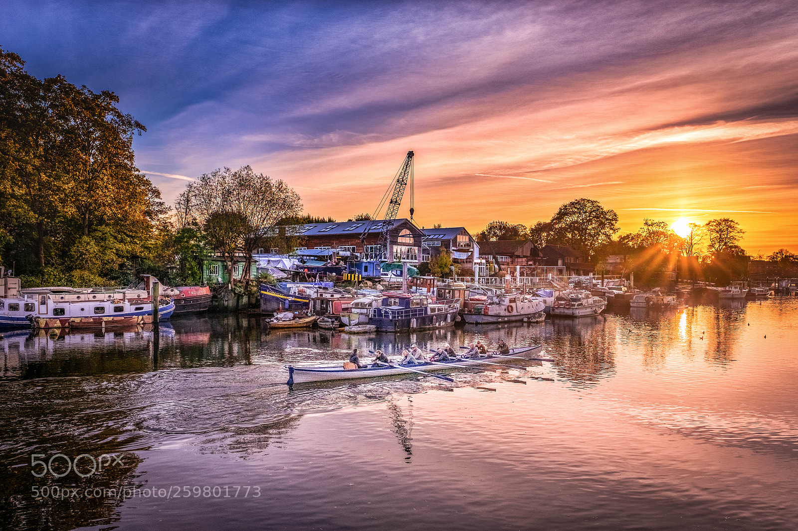 Fujifilm X-Pro2 sample photo. Twickenham rowers photography