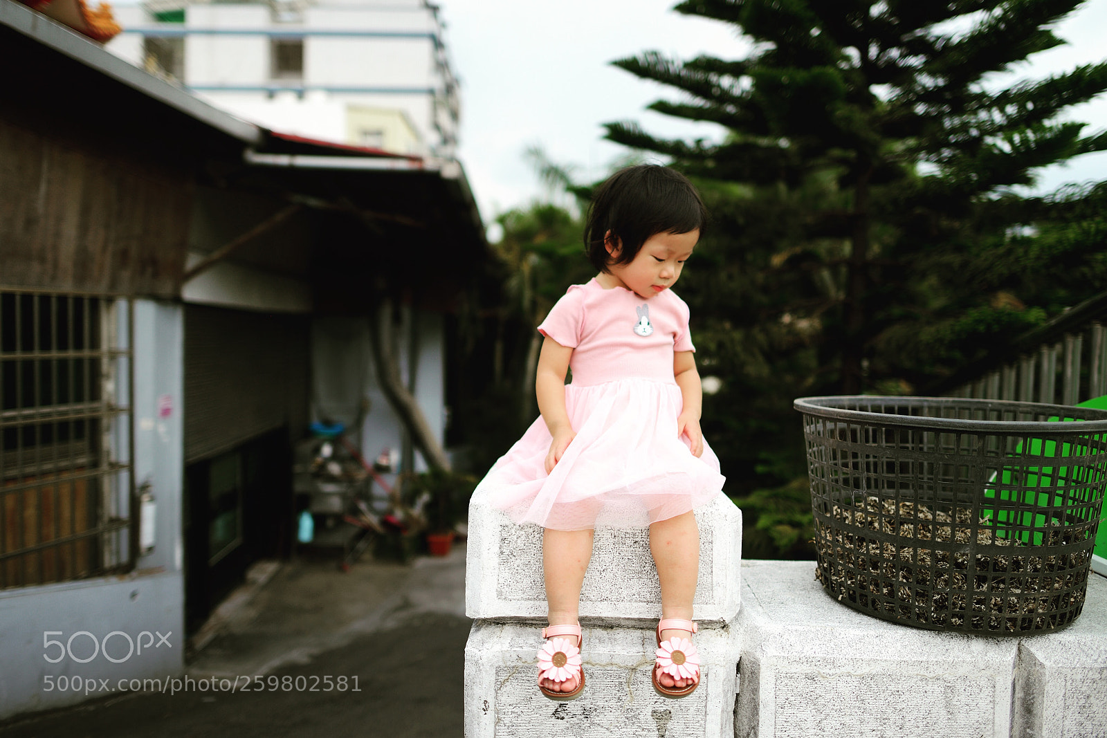 Nikon D800 sample photo. Untitled photography
