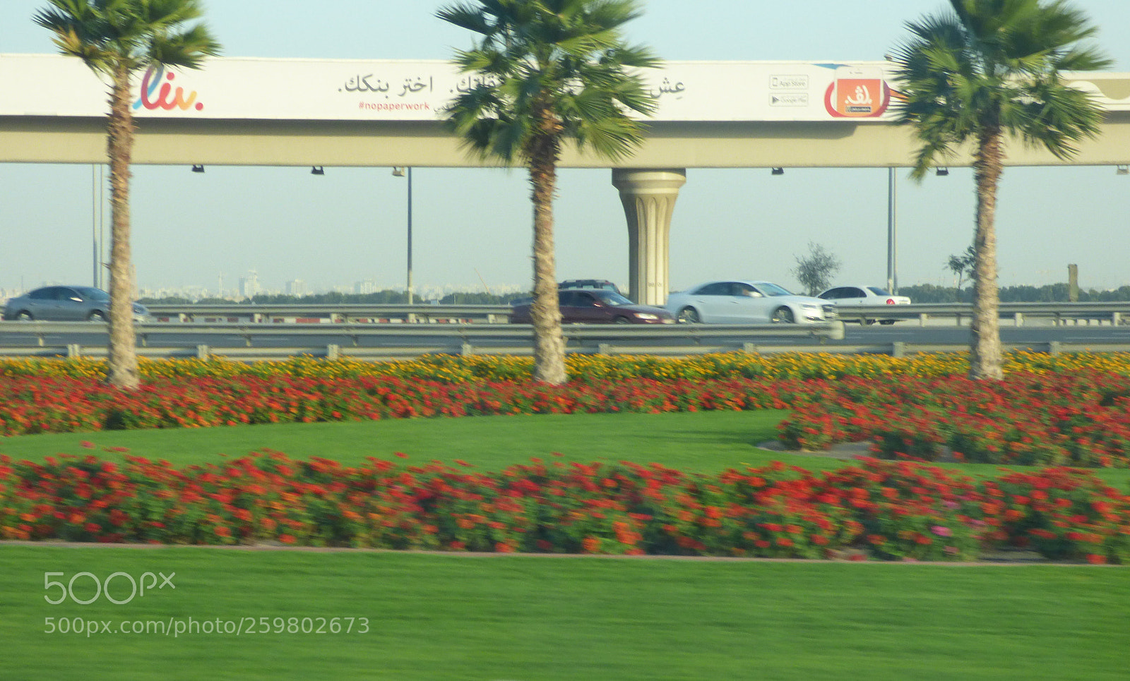 Panasonic Lumix DMC-FZ70 sample photo. Dubai photography