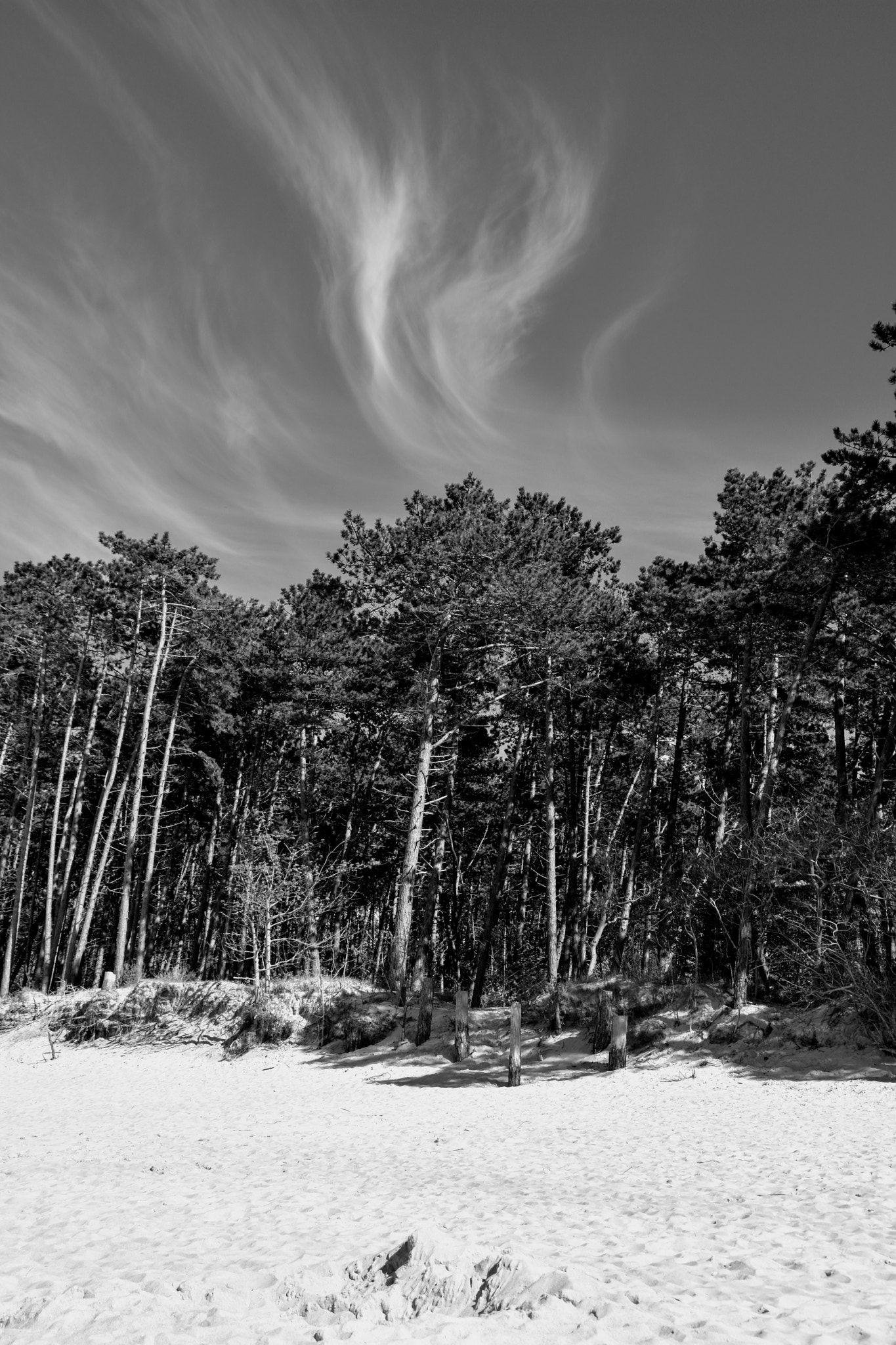 Nikon D7200 sample photo. Wild beach photography