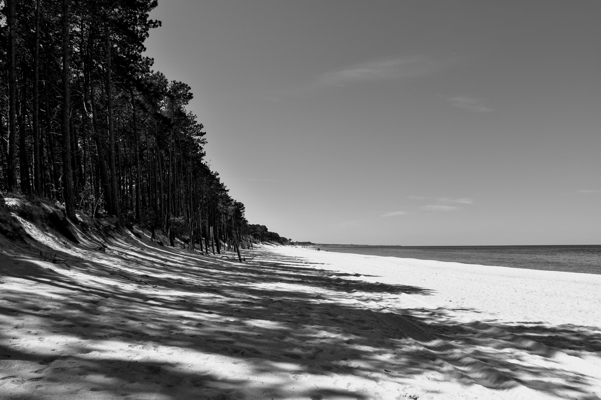 Nikon D7200 sample photo. Wild beach photography