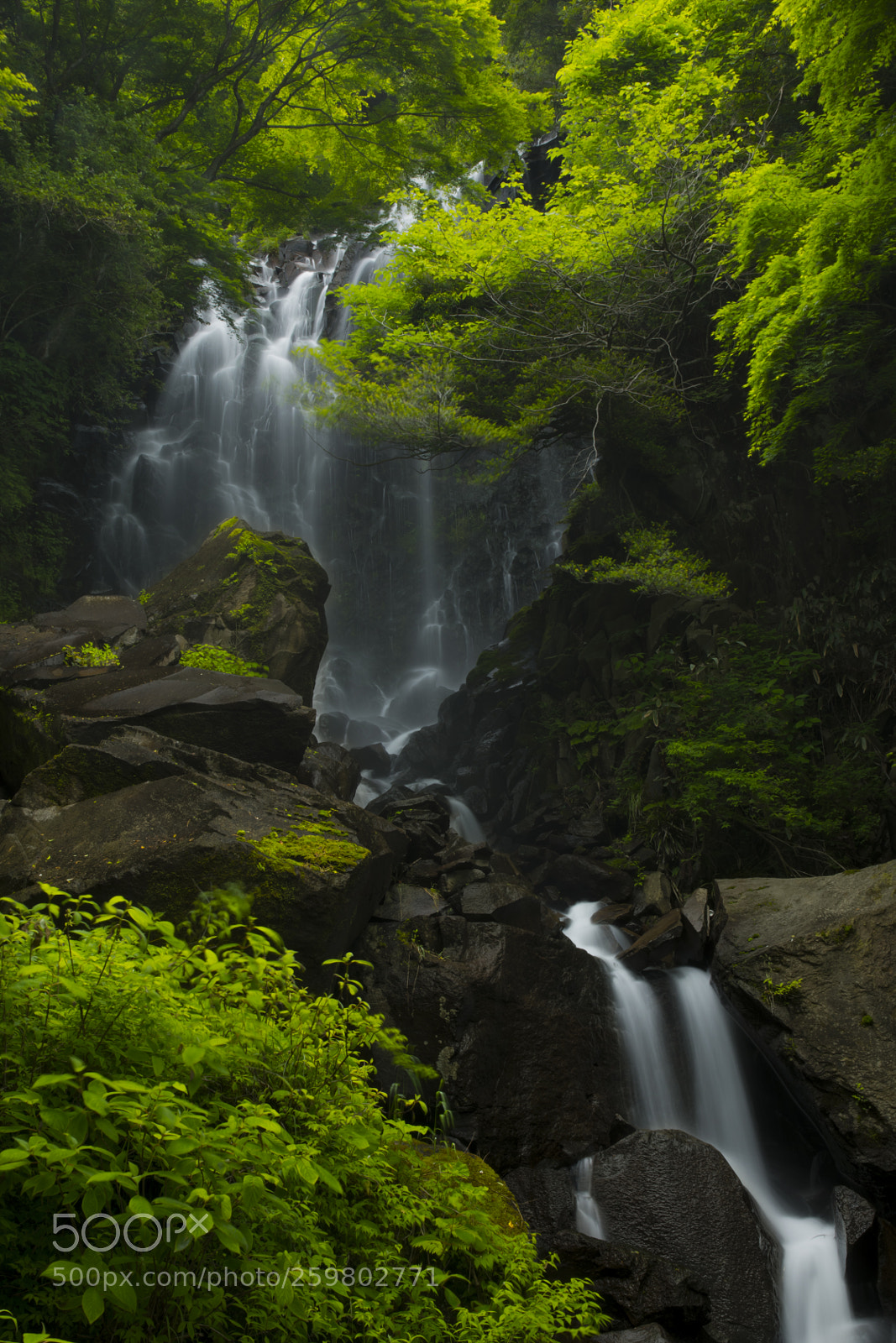 Canon EOS 5D Mark IV sample photo. Waterfall painting photography