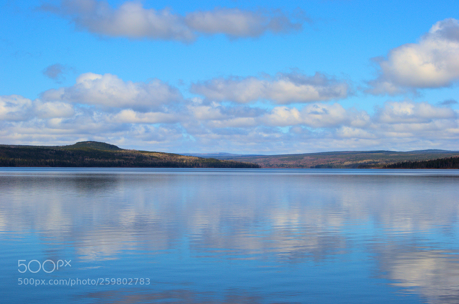 Nikon D3100 sample photo. Reflections photography