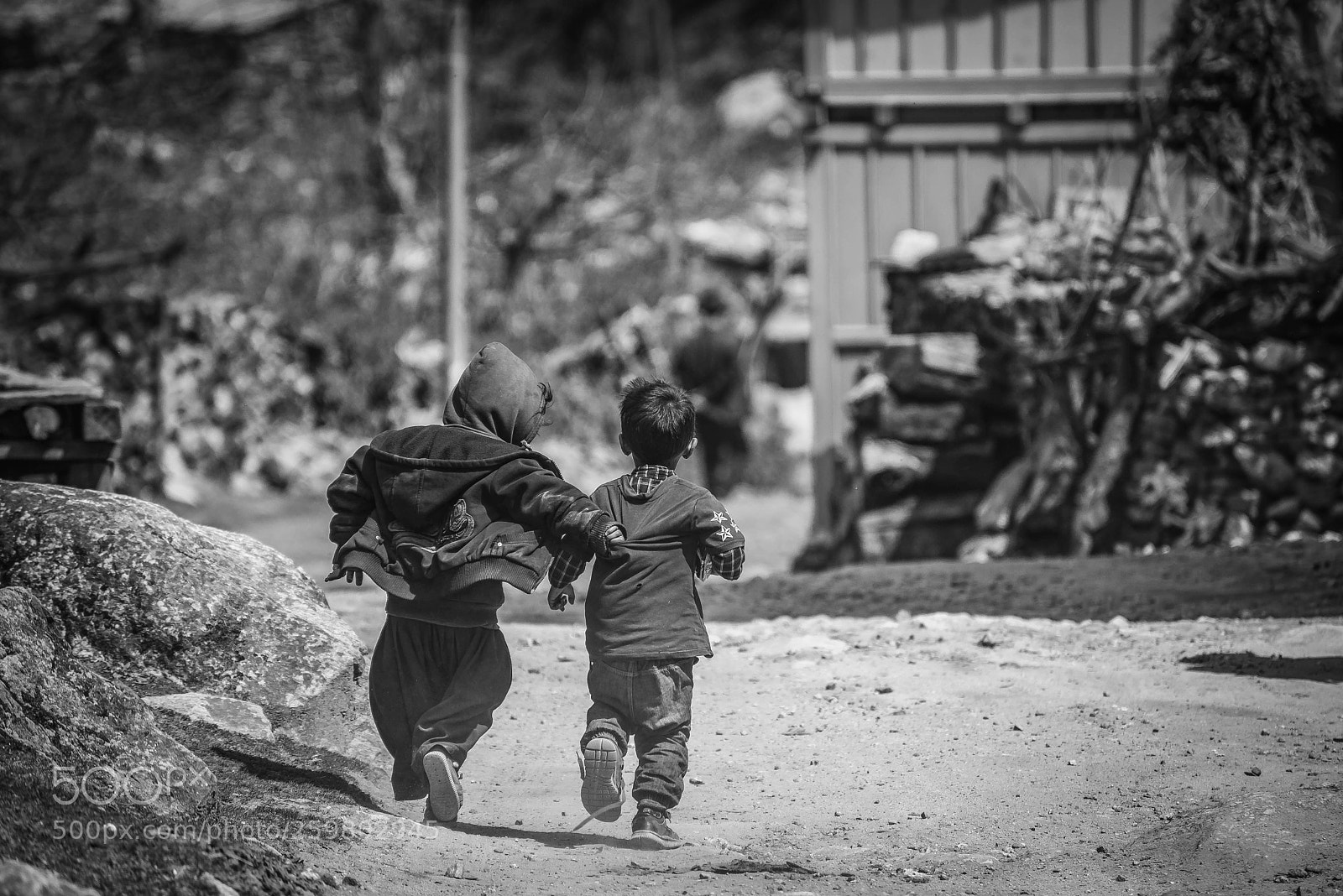 Nikon D600 sample photo. Play time photography