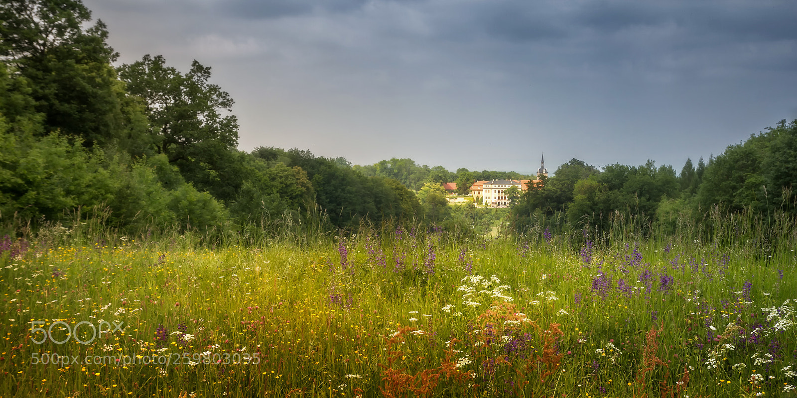 Canon EOS 60D sample photo. Summer meadow with castle photography