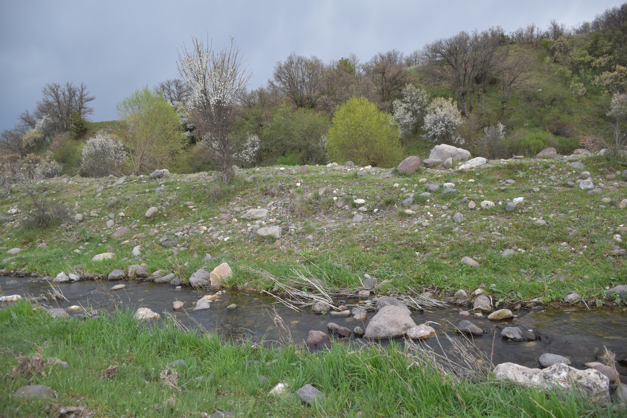 Nikon D5600 sample photo. Lots of things... photography