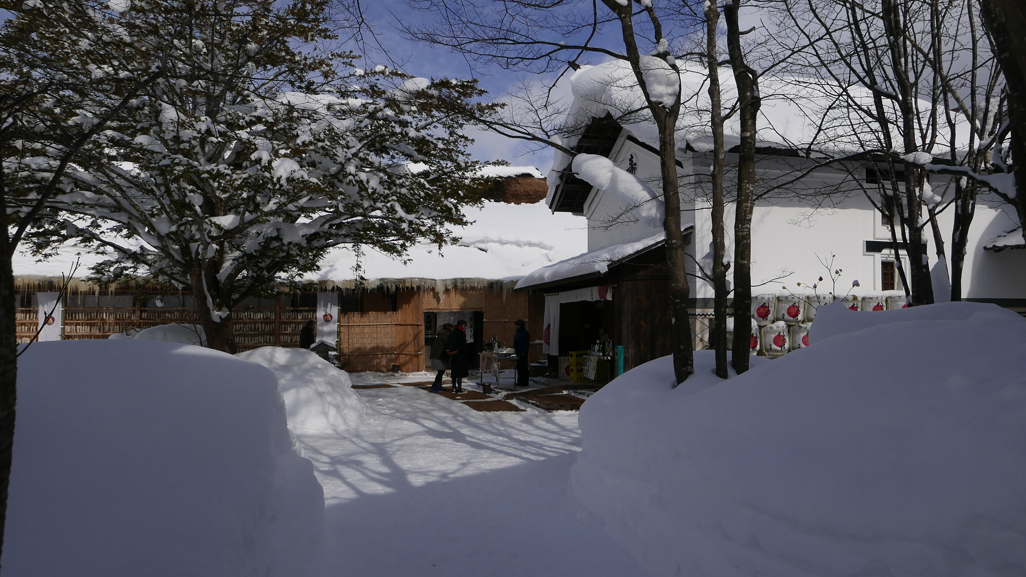 Leica D-Lux (Typ 109) sample photo. 雪村。。。 photography