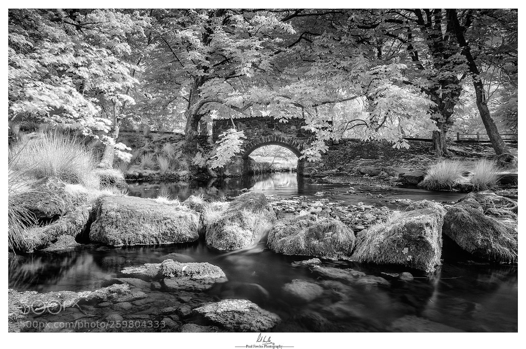 Nikon D7200 sample photo. Pano copy jpg minffordd photography