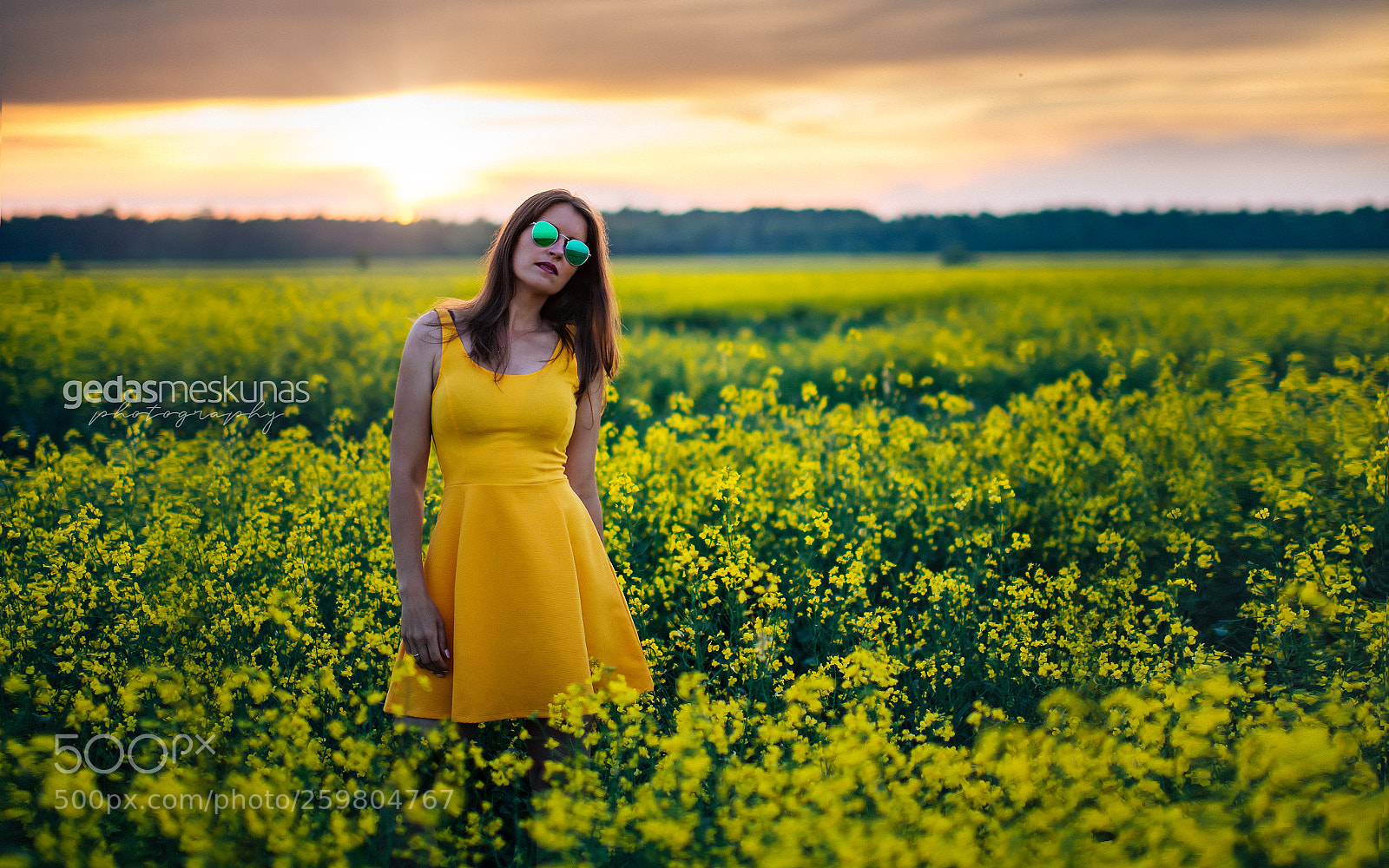 Nikon D750 sample photo. Oilseed rape fields photography