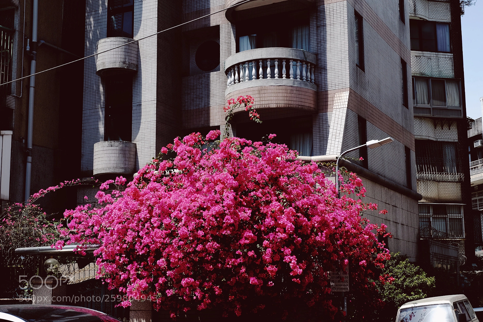 Fujifilm X-T1 sample photo. Blossom photography