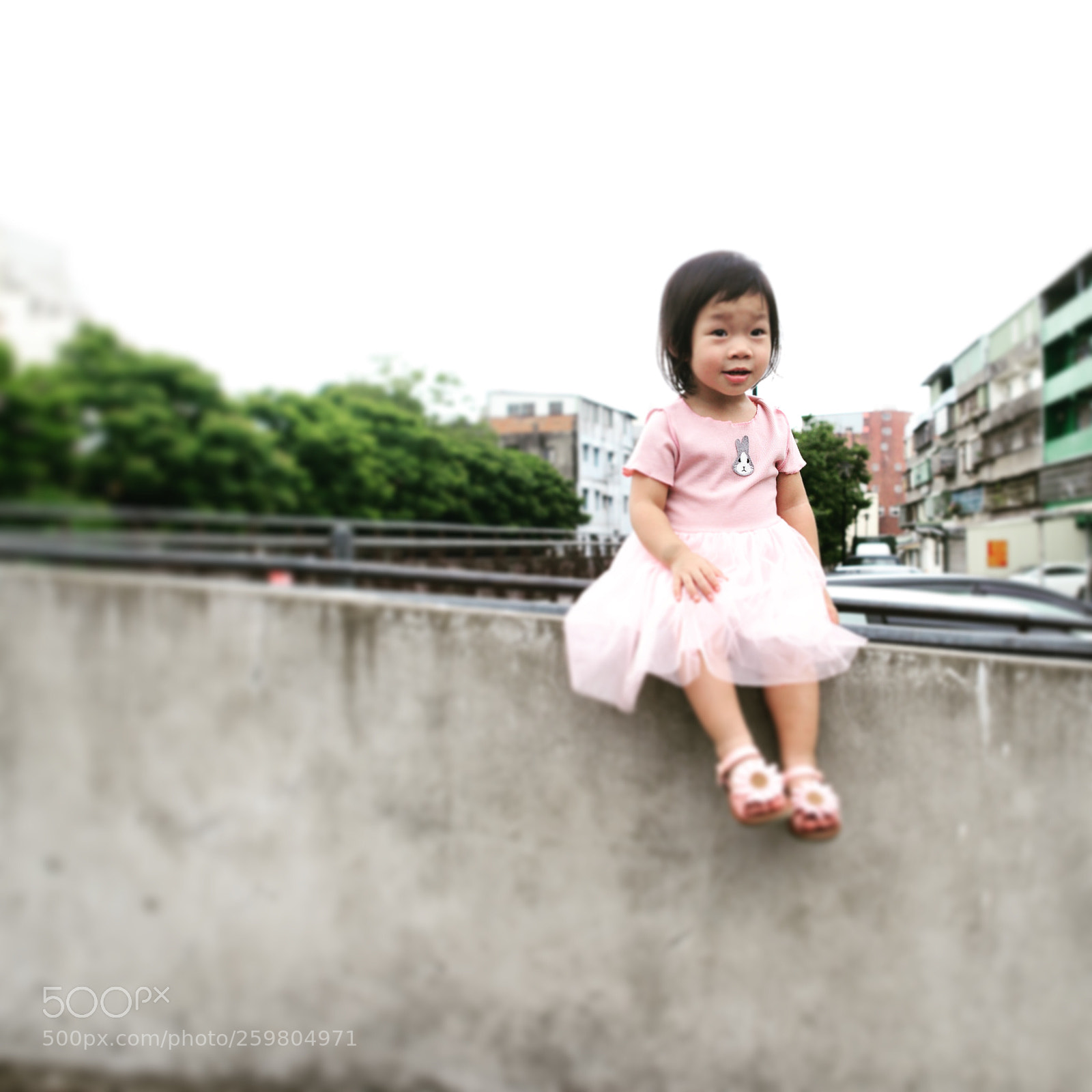 Nikon D800 sample photo. Untitled photography