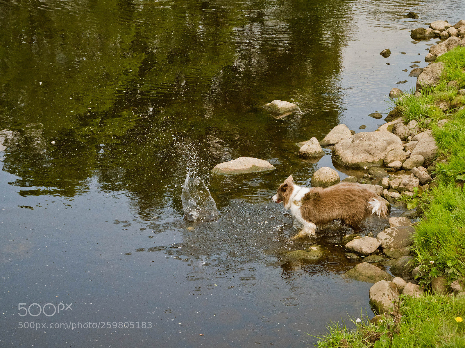 Panasonic Lumix DMC-GX8 sample photo. The river wharf adventures photography