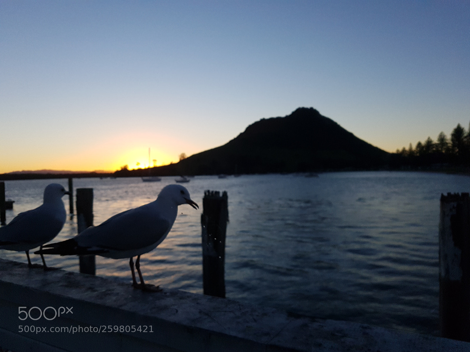 Samsung Galaxy S7 sample photo. New zealand photography
