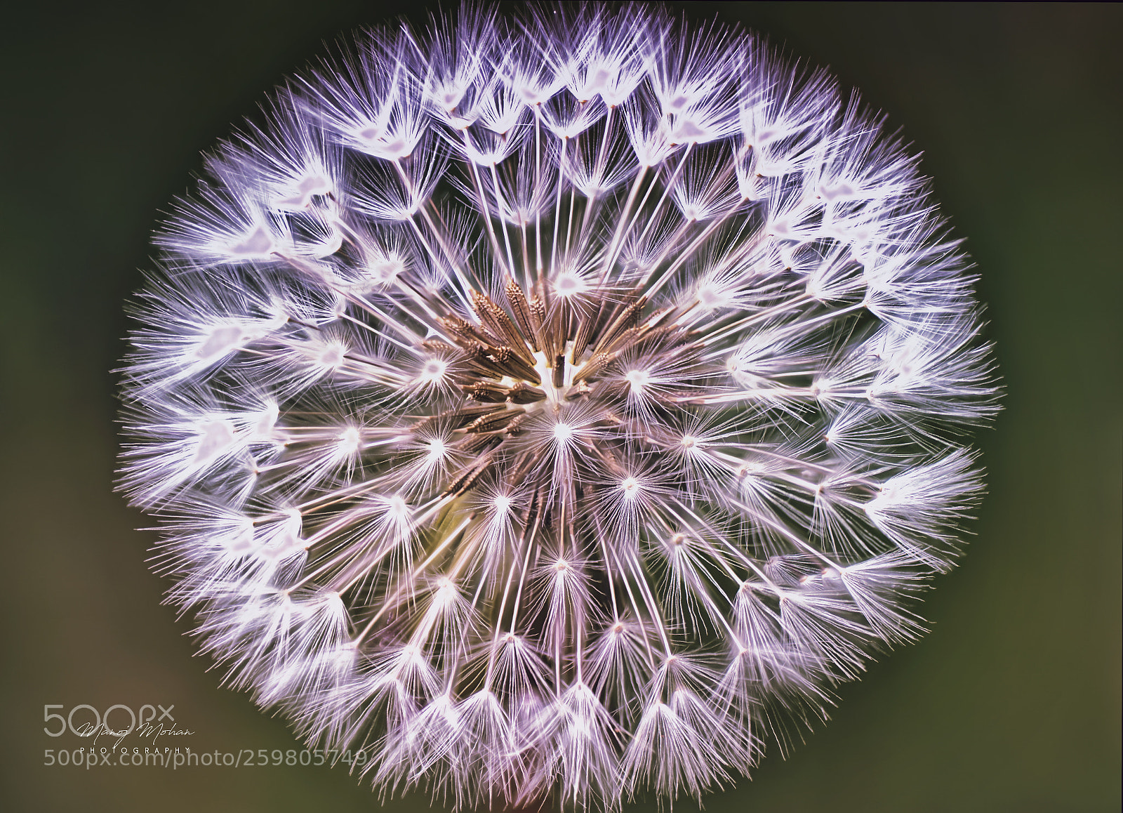 Sony ILCA-77M2 sample photo. Inside photography