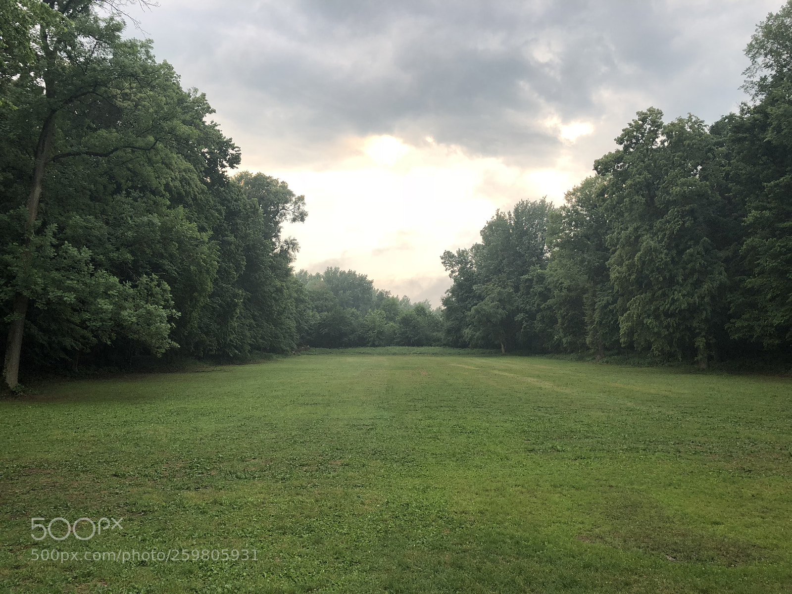 Apple iPhone 8 Plus sample photo. Greenfinity photography