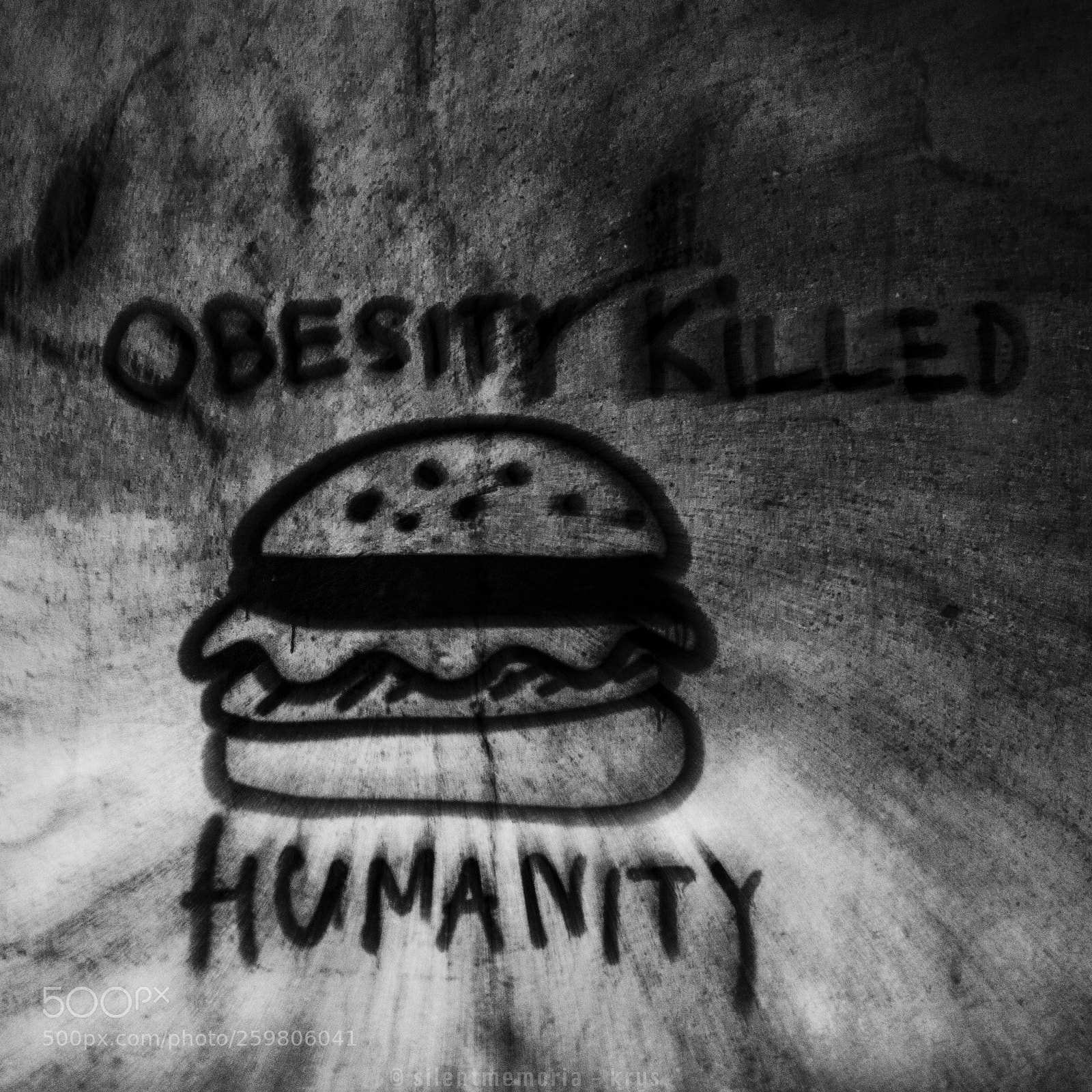 Canon EOS 70D sample photo. Obisity kills humanity photography