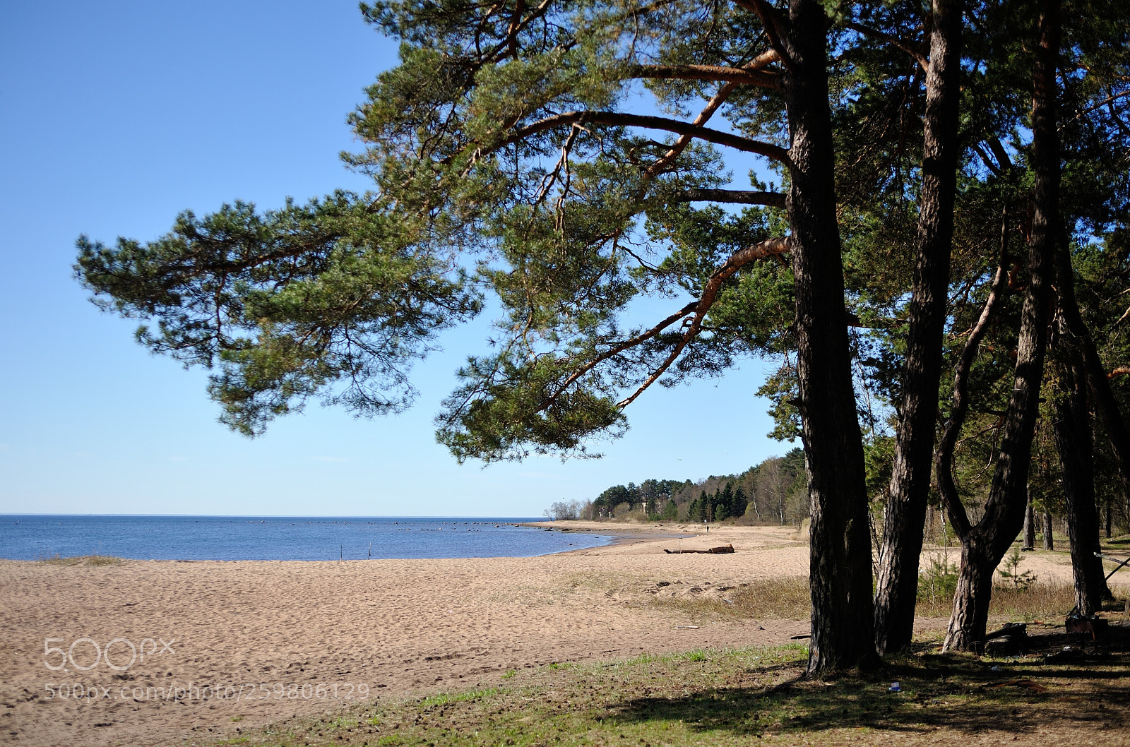 Nikon D700 sample photo. на Финском заливе... #5 photography