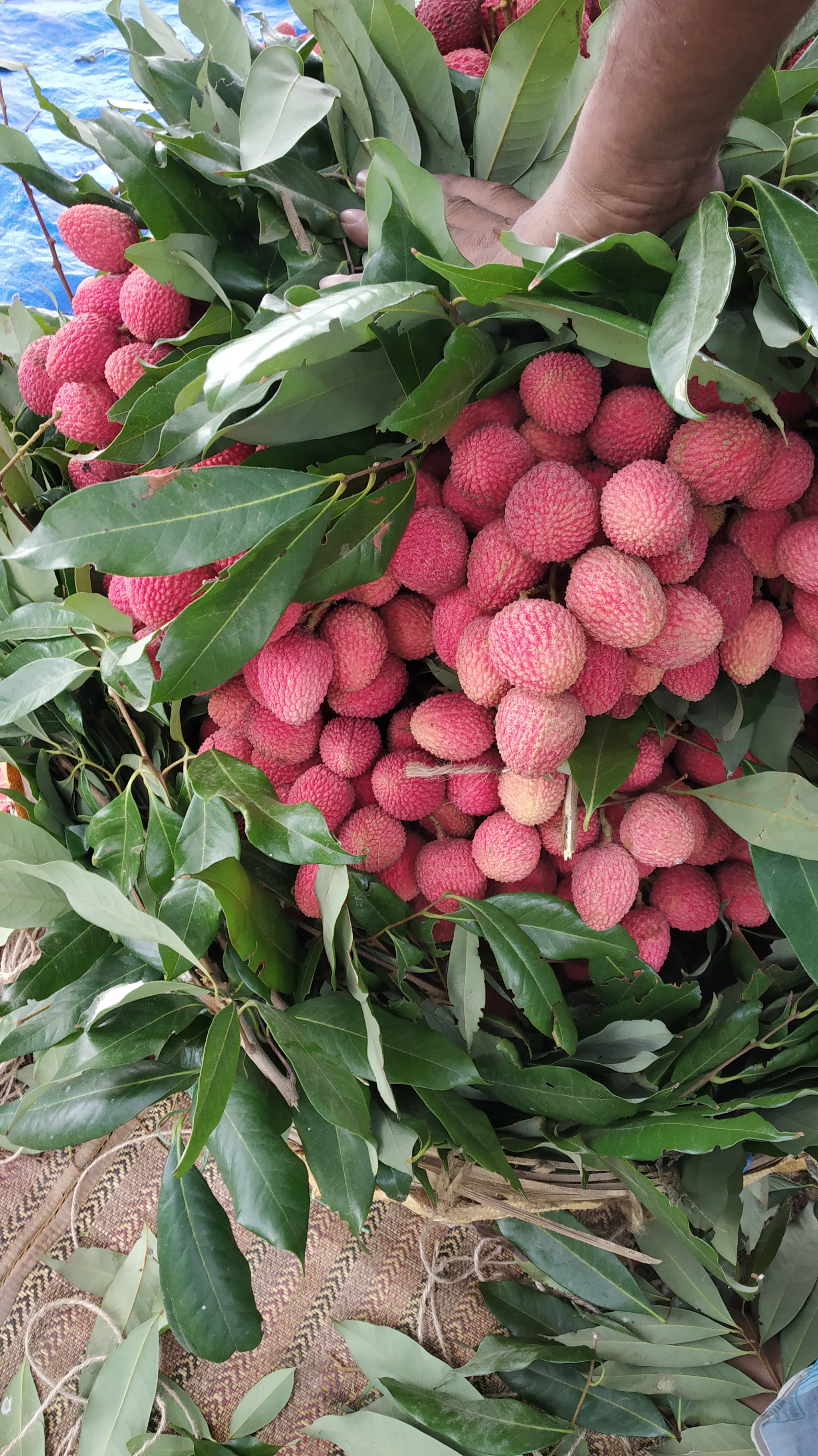 Xiaomi Redmi Note 5 Pro sample photo
