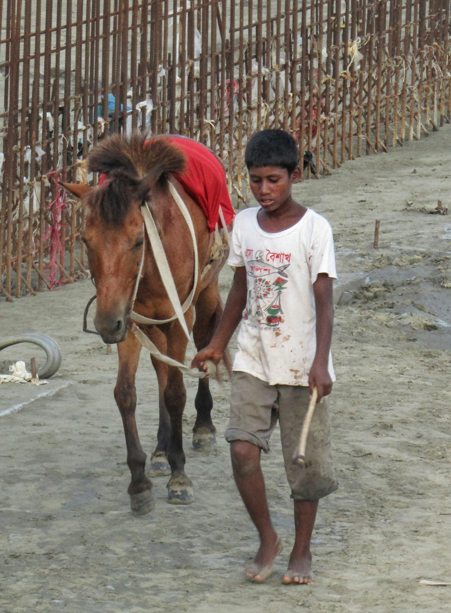 Canon PowerShot SX420 IS sample photo. Boy & horse photography