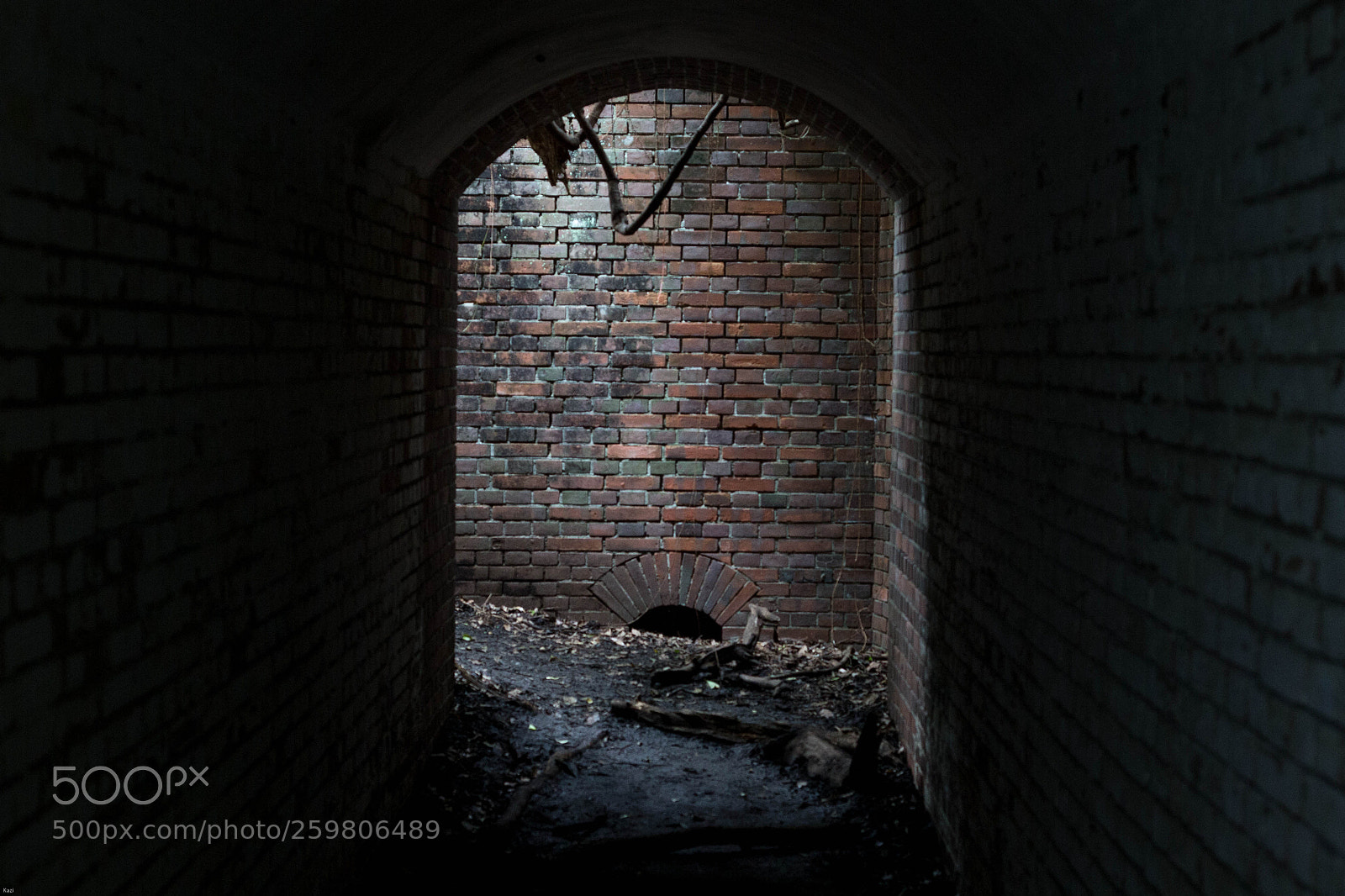 Canon EOS-1D X sample photo. Outside light photography