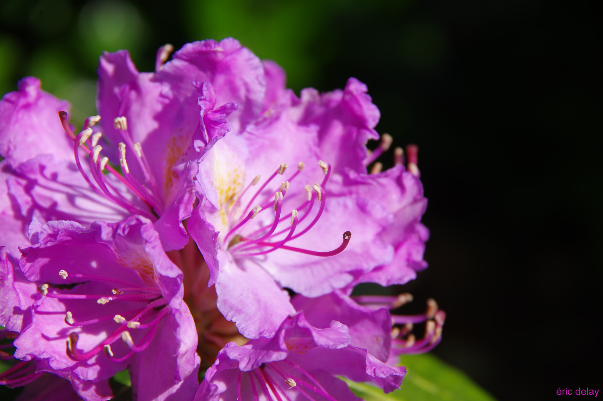 Pentax K-3 sample photo. Couleurs! photography