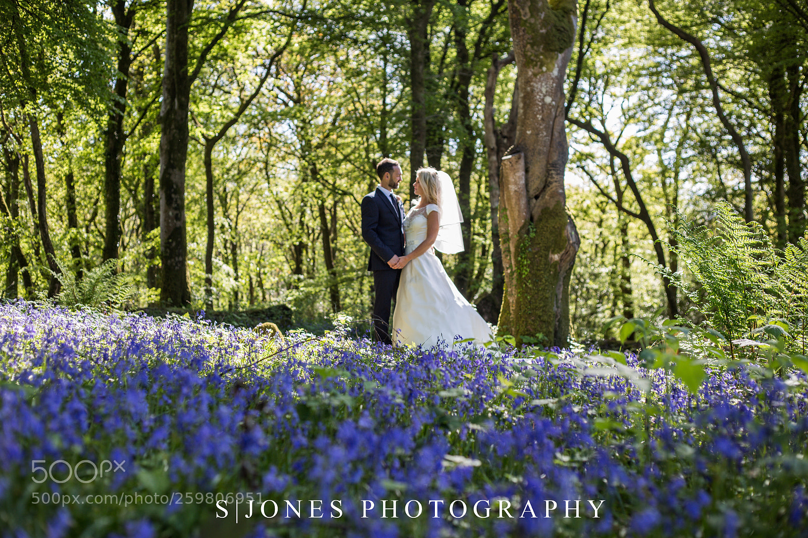Canon EOS 6D sample photo. Blue bells photography