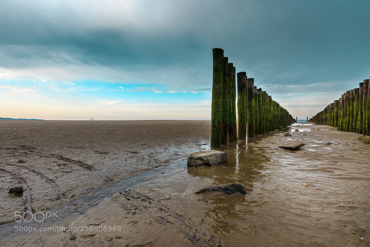 Canon EOS 80D sample photo. Shore of zoutelande photography