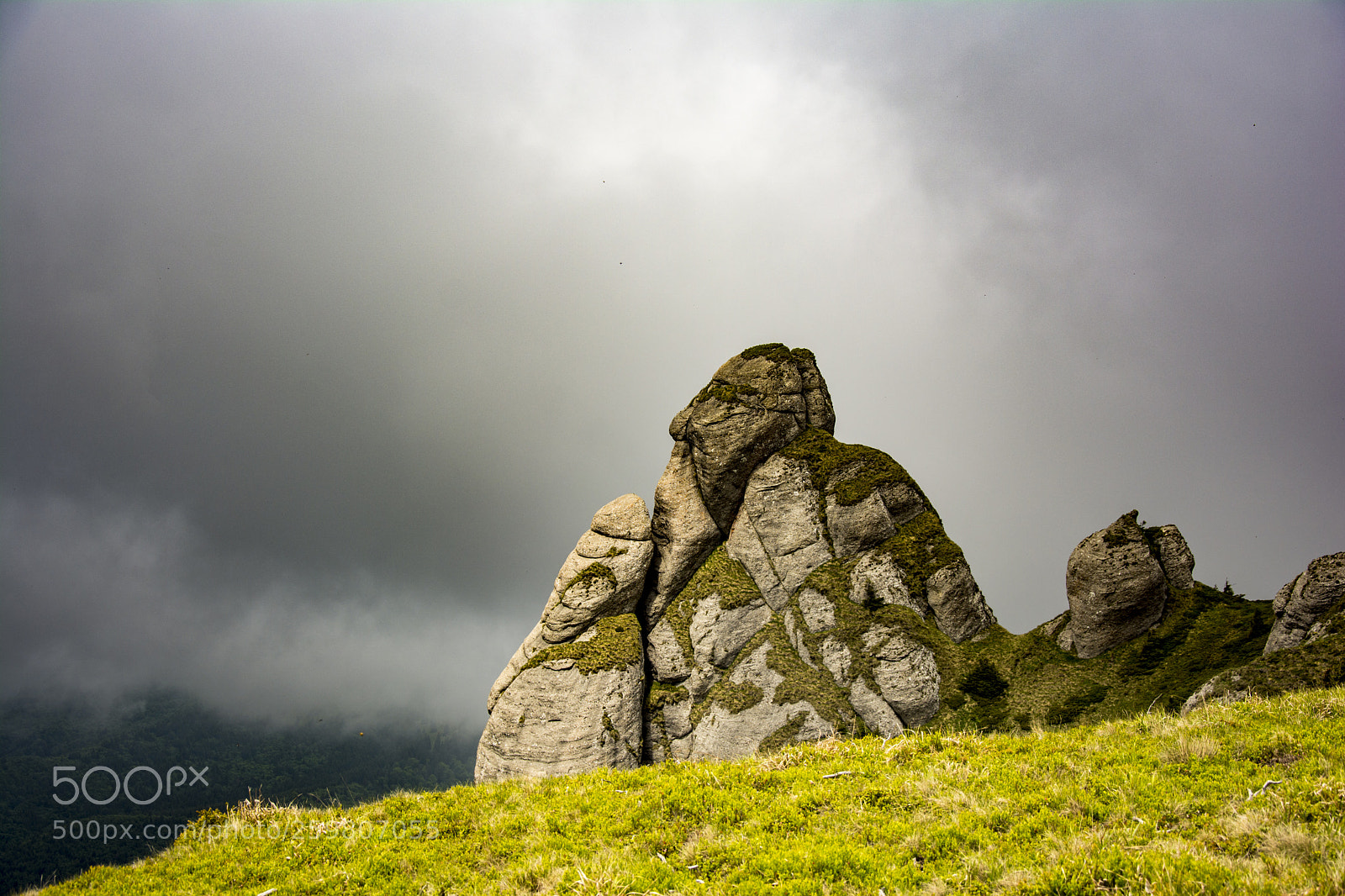 Nikon D7100 sample photo. Alive clouds photography