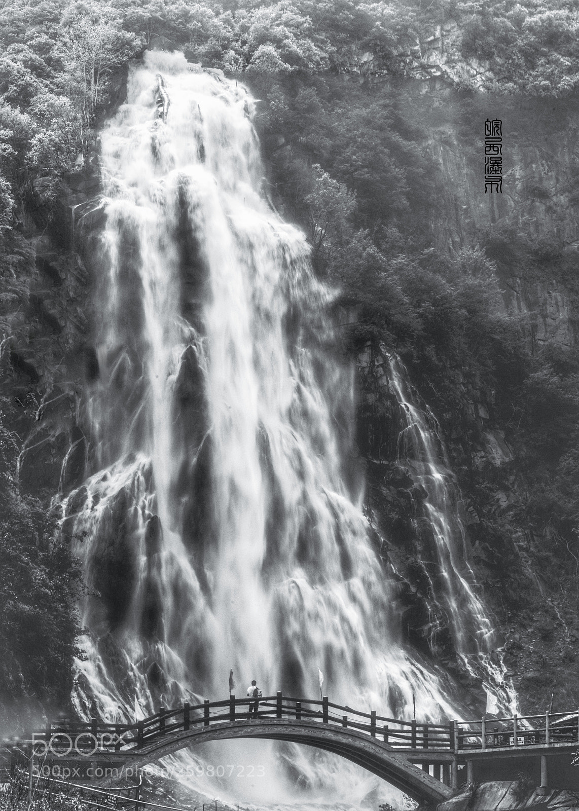 Nikon D750 sample photo. Untitled photography