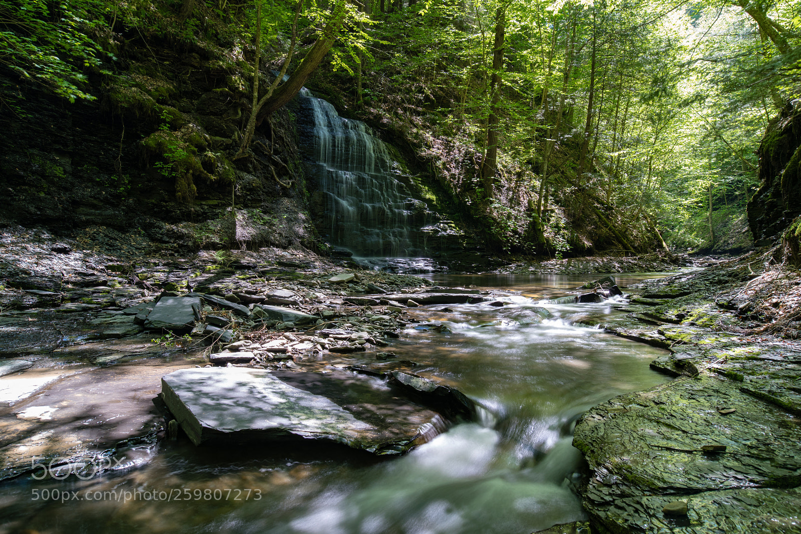 Nikon D750 sample photo. Waterfall along dry creek photography