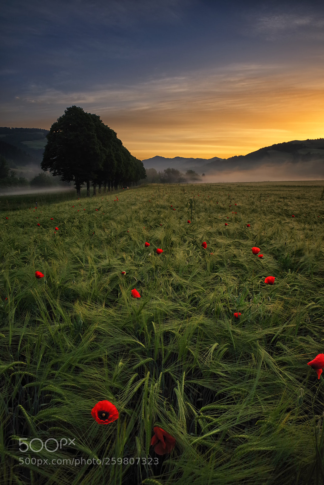 Pentax K-1 sample photo. Sunrise heroes photography