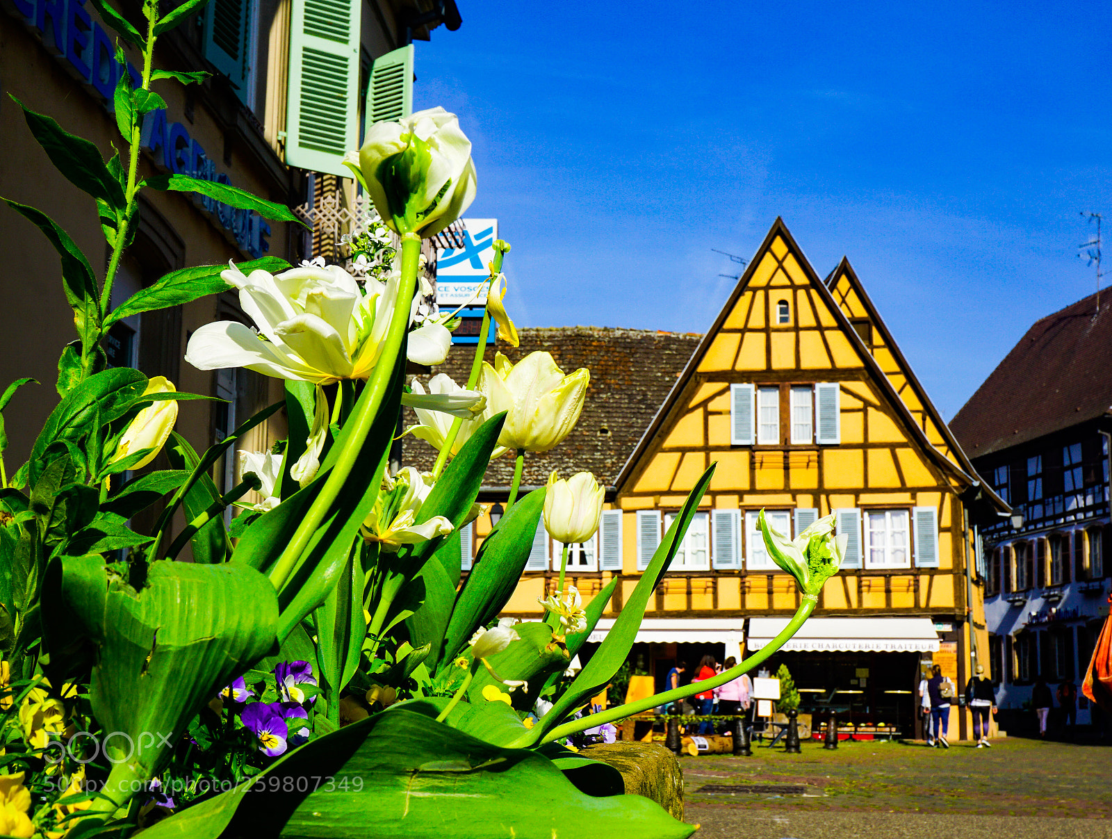 Sony a6000 sample photo. Eguisheim cradle of the photography