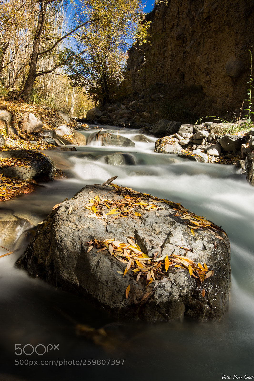 Nikon D7200 sample photo. Autumn-05 photography