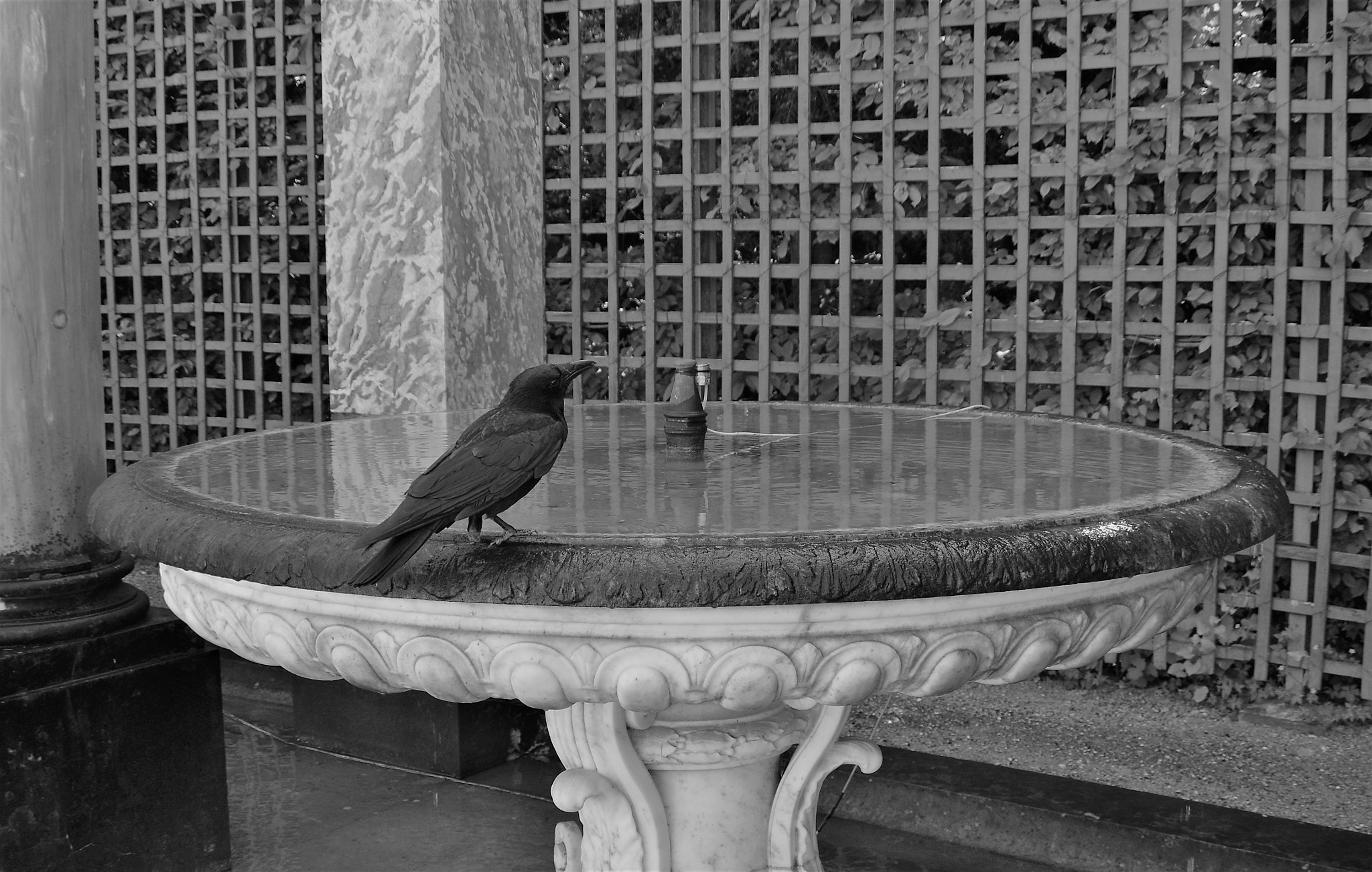 Nikon D3100 sample photo. At the waterhole photography