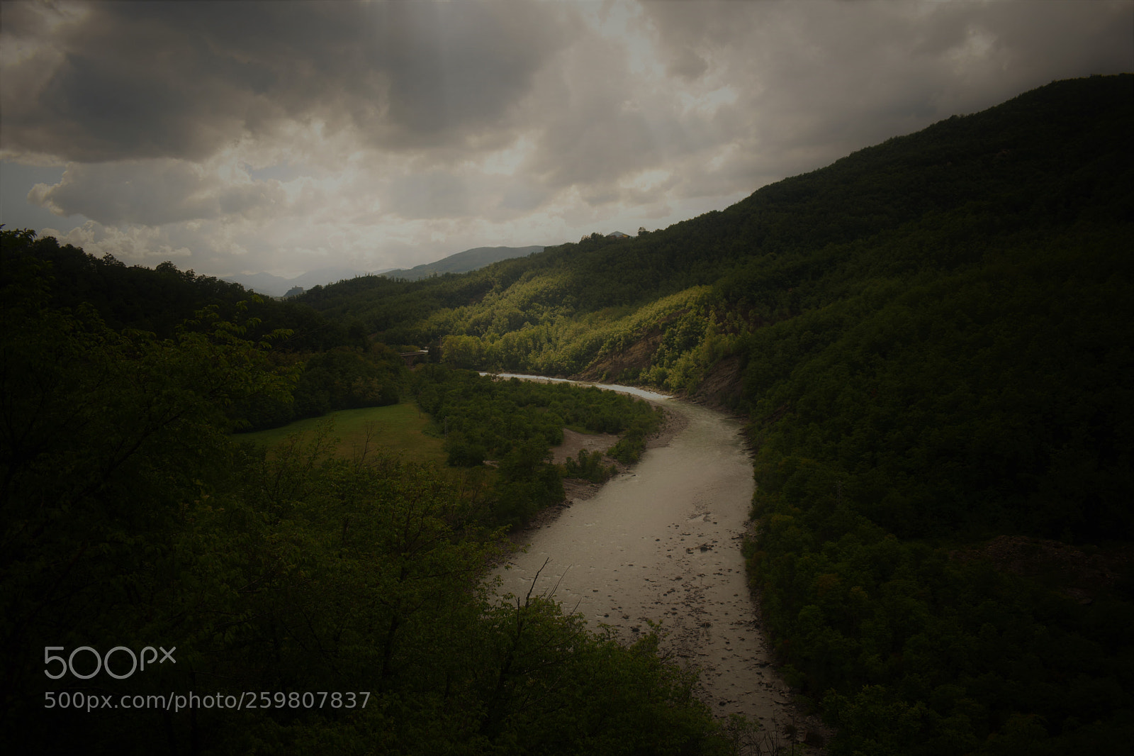Nikon D5300 sample photo. Melancholic spring italia, near photography