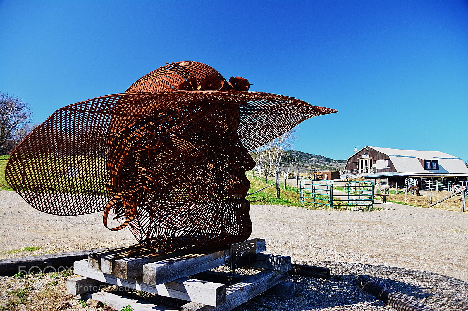 Nikon D7100 sample photo. Œuvre d’art photography
