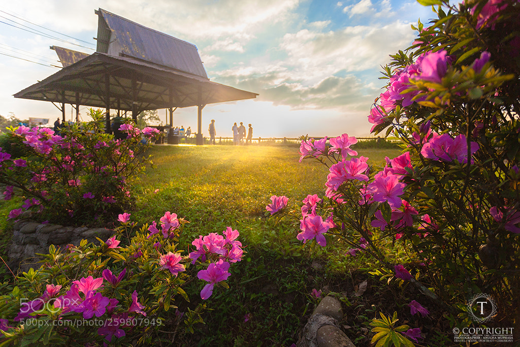 Canon EOS 5D Mark II sample photo. Doi phu kha national photography