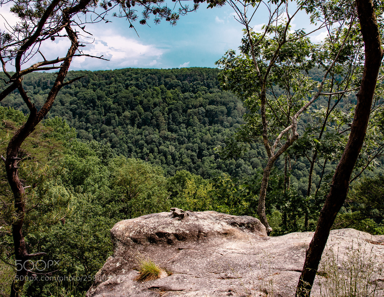 Nikon D7200 sample photo. Fiery gizzard trail photography