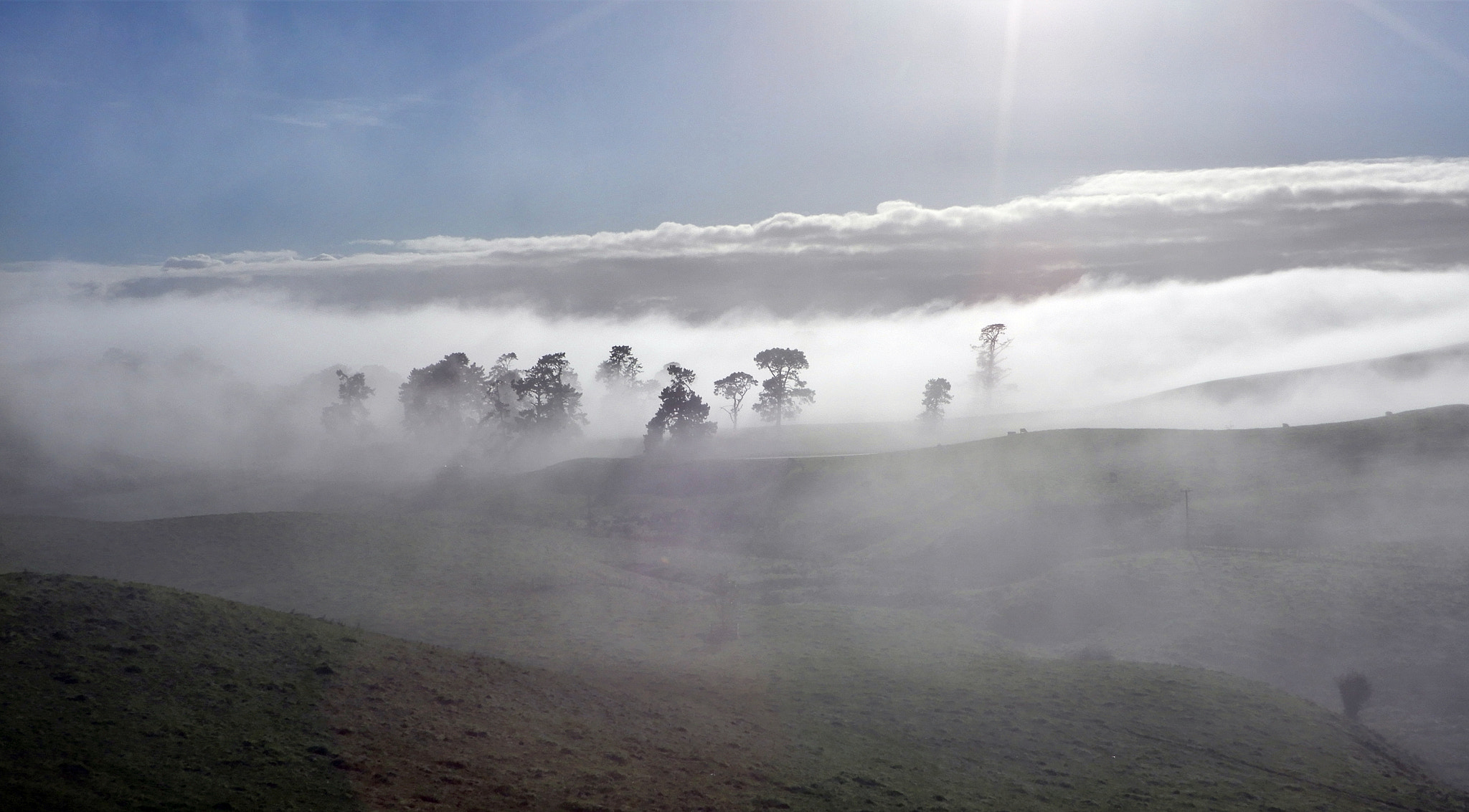 Nikon Coolpix A900 sample photo. Misty morning photography