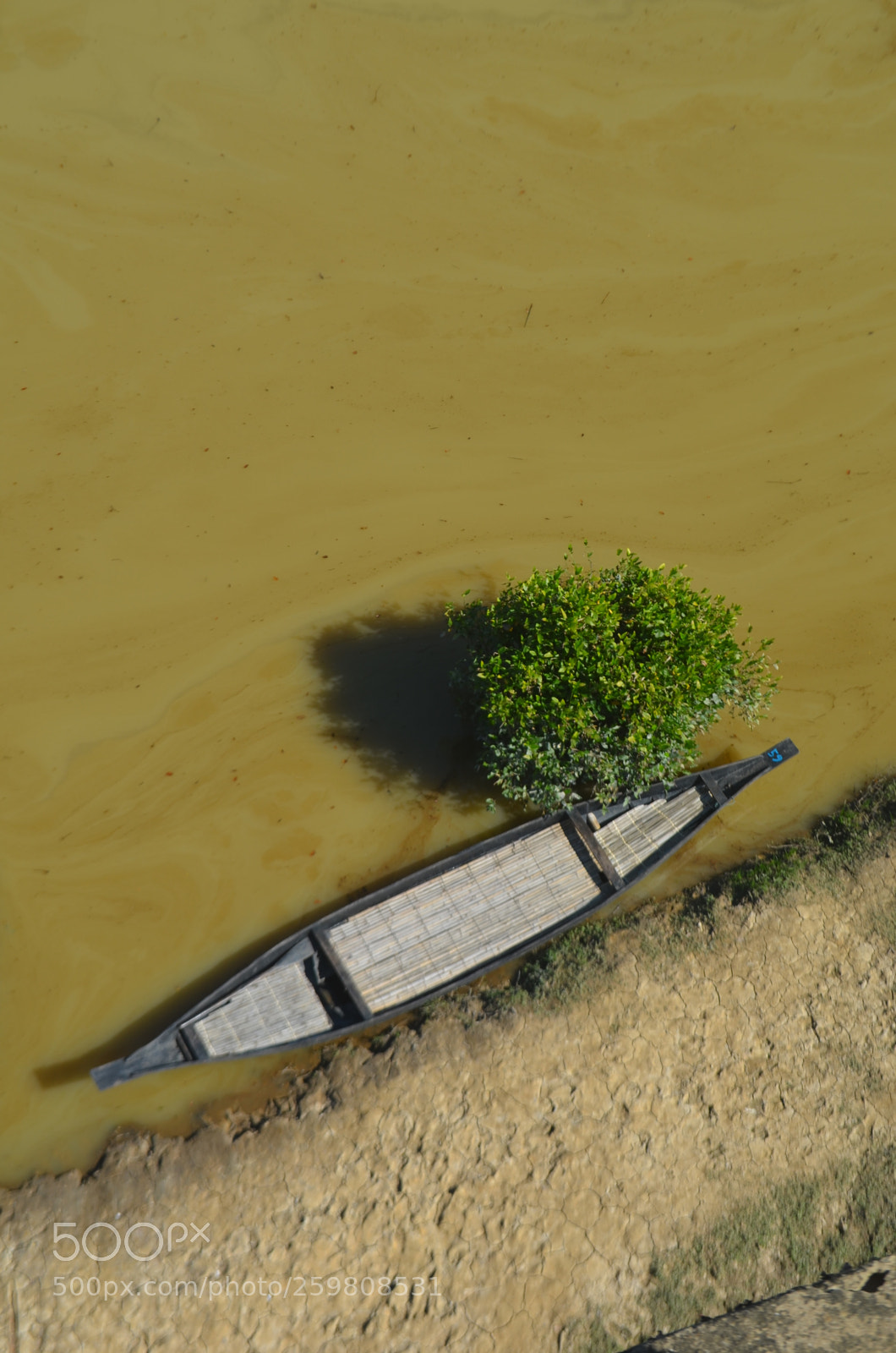 Nikon D5100 sample photo. Boat @ratargul swamp forest photography