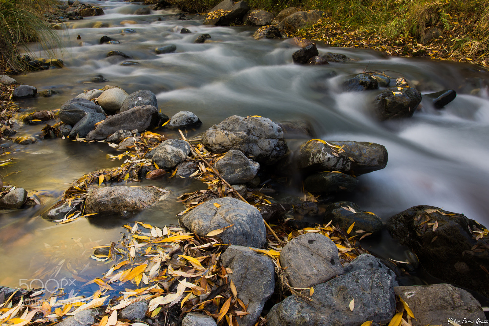 Nikon D7200 sample photo. Autumn-10 photography